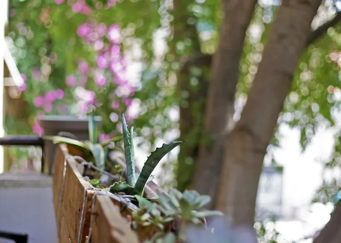 Tchaikovsky Хостел *