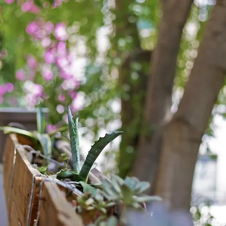 Tchaikovsky 旅馆 *