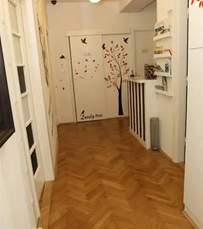 Tchaikovsky 斯普利特