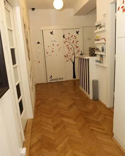 Tchaikovsky 斯普利特